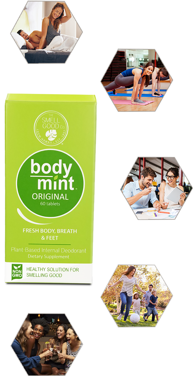 bodymint-original